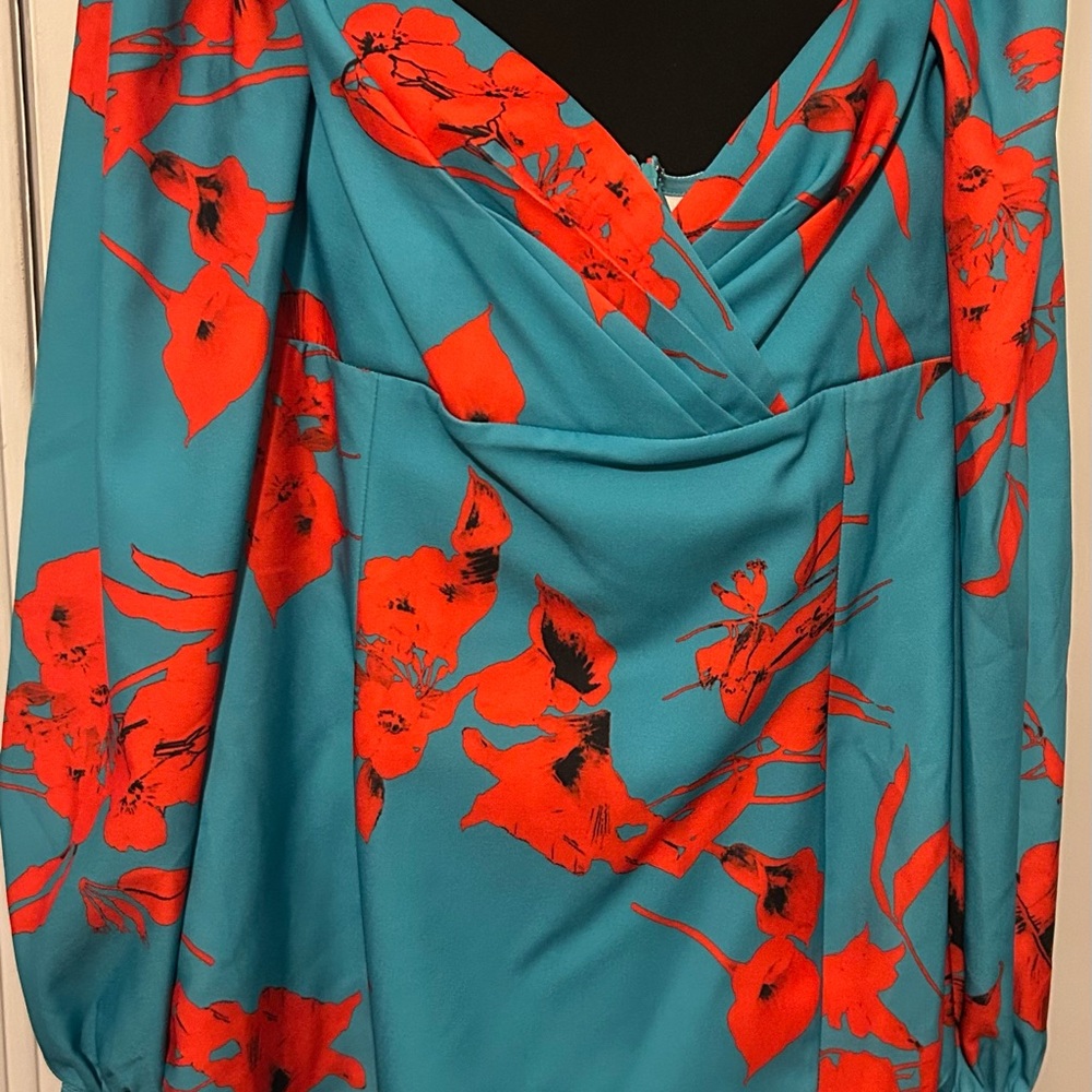 Fashion Nova Teal and Red Floral Mini Dress